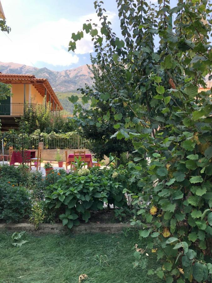 Hotel Villa Ago Permet Exterior photo
